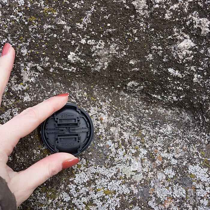 Photo de Menhir de Sainte-Anne, de Pierre-Longue ou de Beaulieu, dit borne milliaire