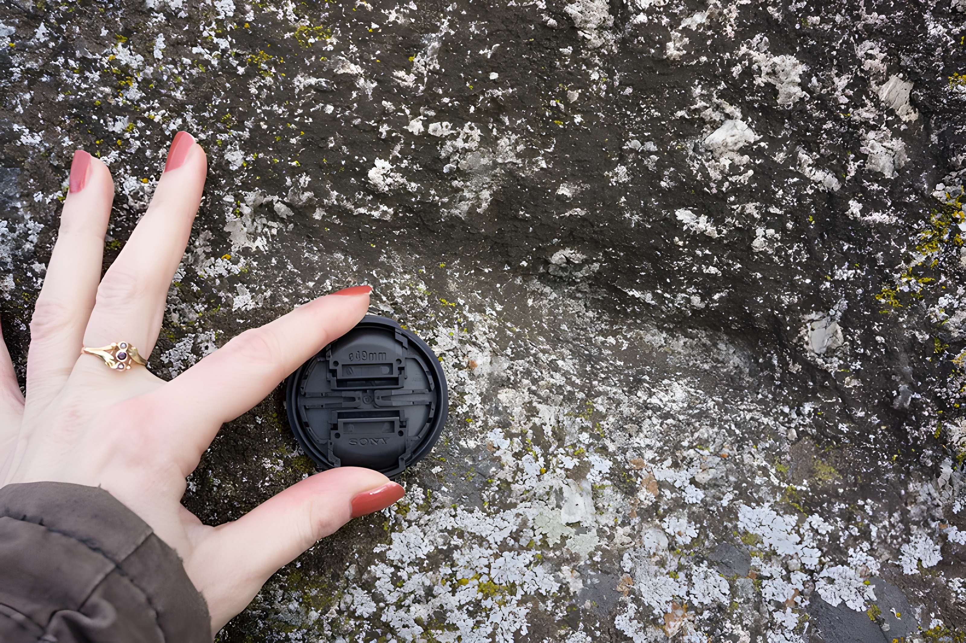 Menhir de Sainte-Anne, de Pierre-Longue ou de Beaulieu, dit borne milliaire