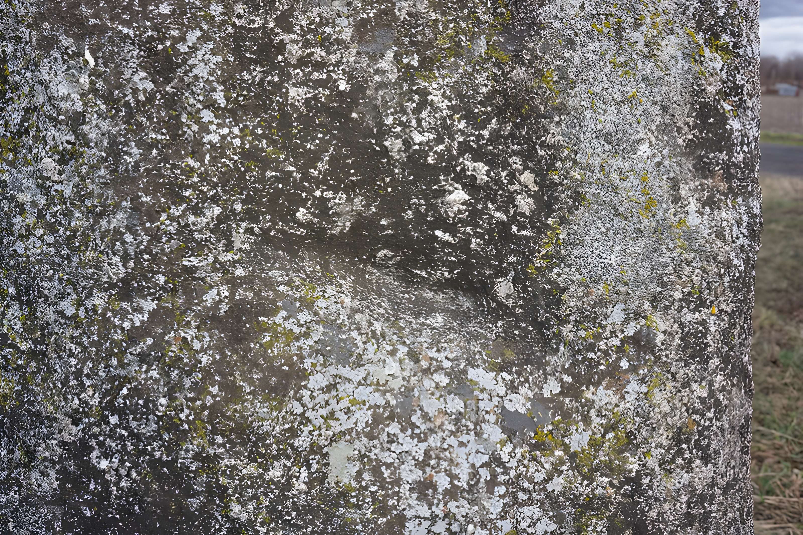 Menhir de Sainte-Anne, de Pierre-Longue ou de Beaulieu, dit borne milliaire