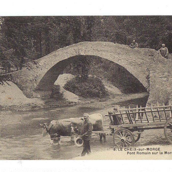 Photo de Pont sur la Morge dit Pont Romain