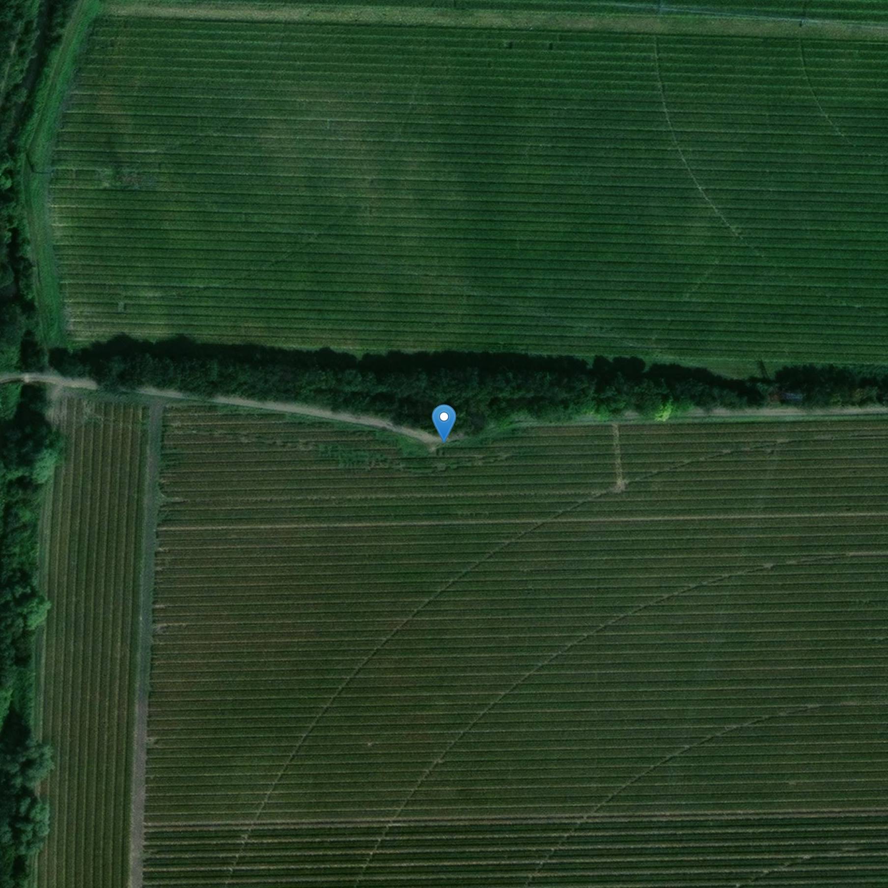 Photo de Former military courthouse of the Counts of Auvergne