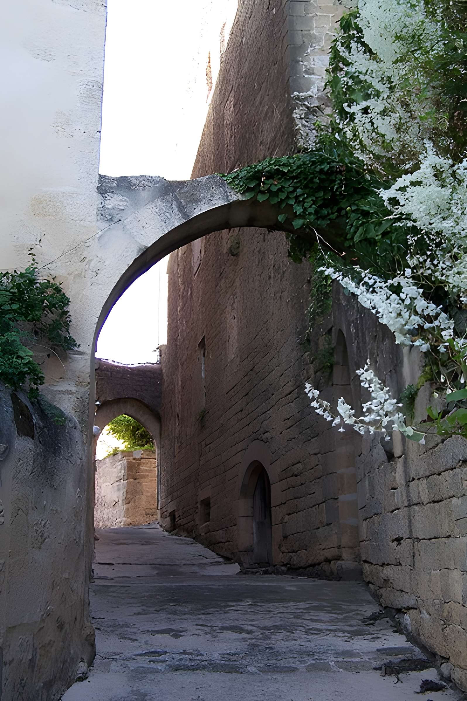 Enceinte de Saint-Macaire