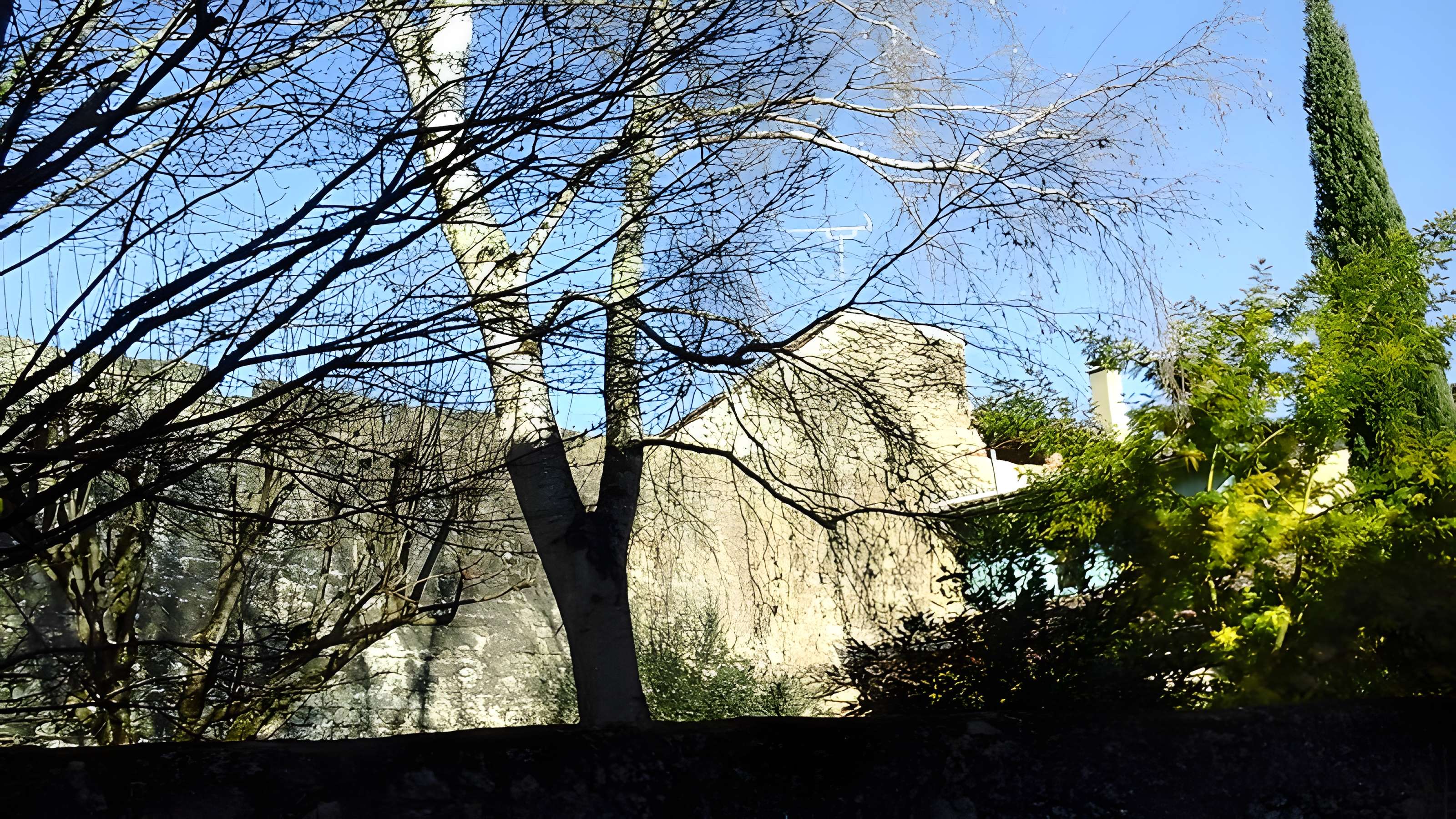 Enceinte de Saint-Macaire