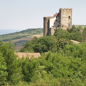 Ruines du château fort