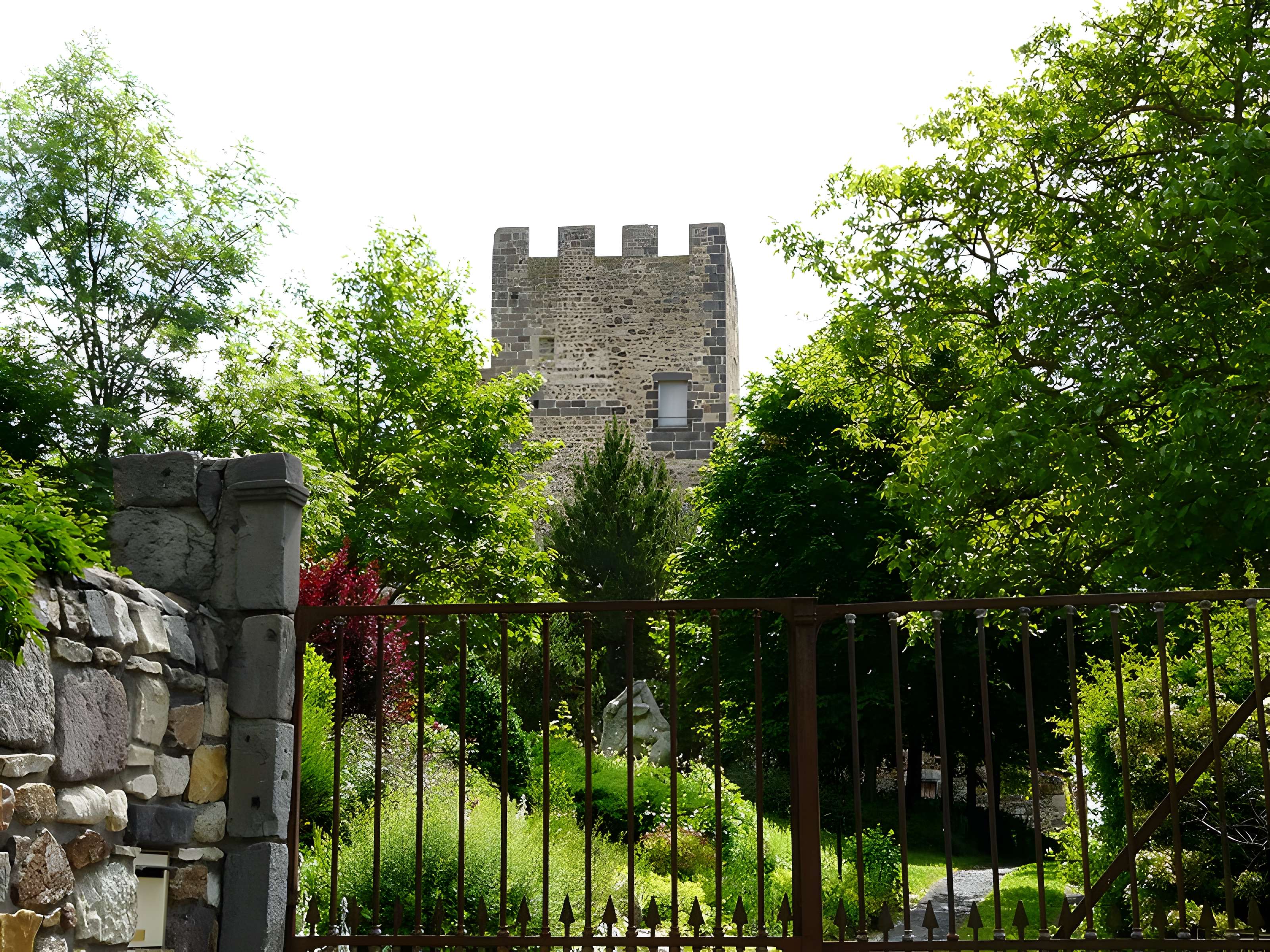 Ruines du château fort