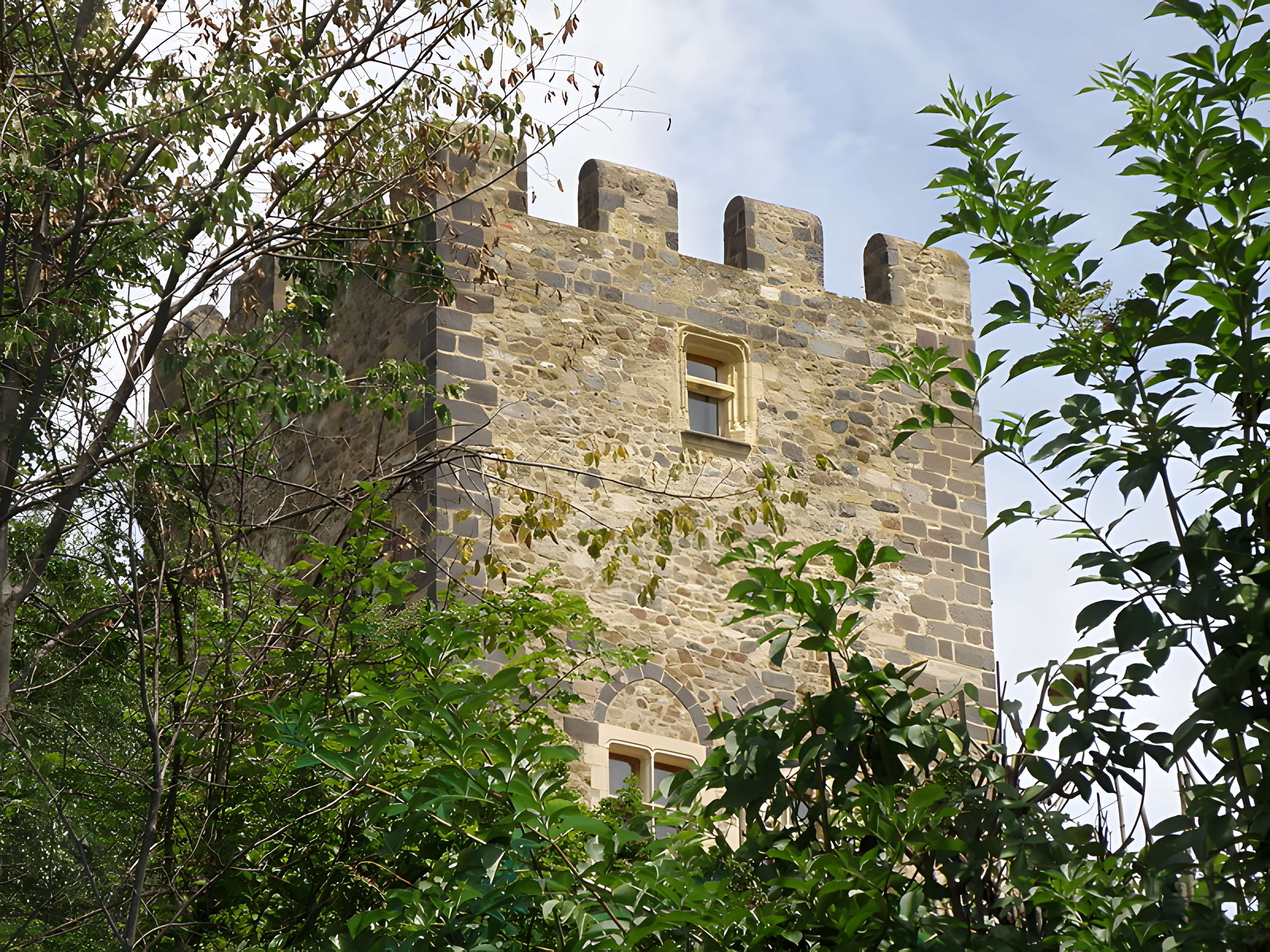 Ruines du château fort