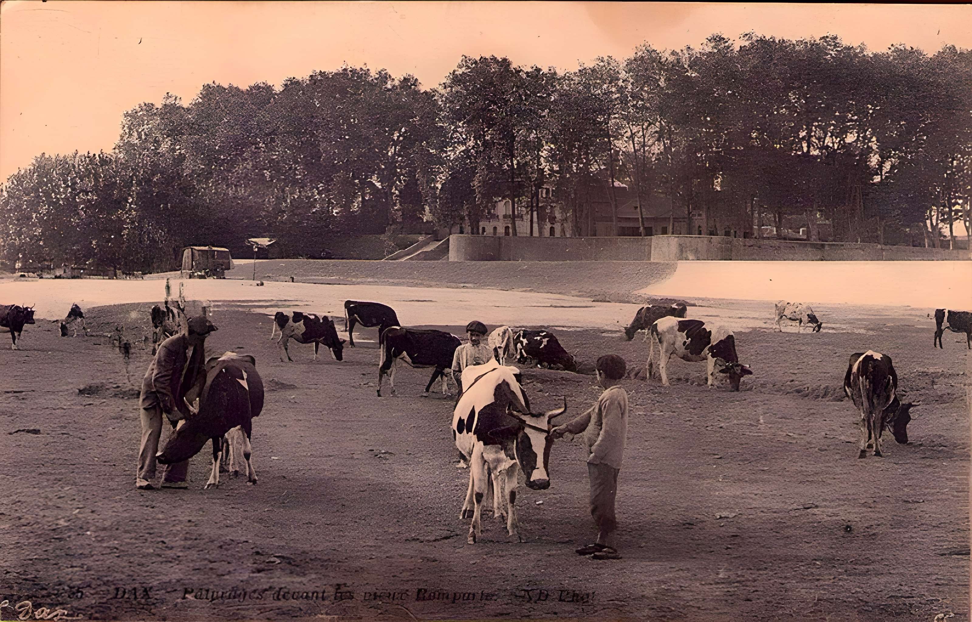 Enceinte gallo-romaine de Dax