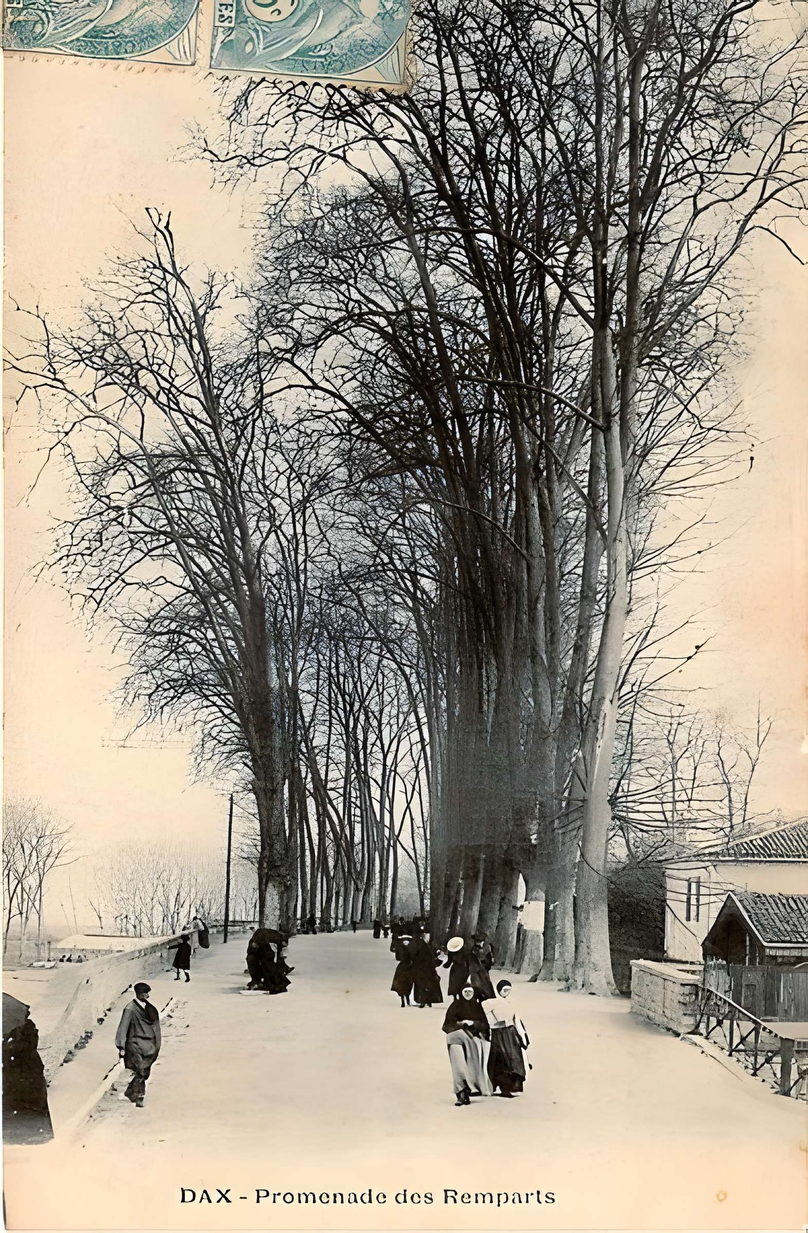 Enceinte gallo-romaine de Dax