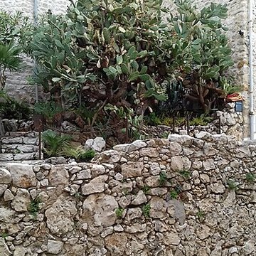 Enceinte gréco-romaine dAntibes