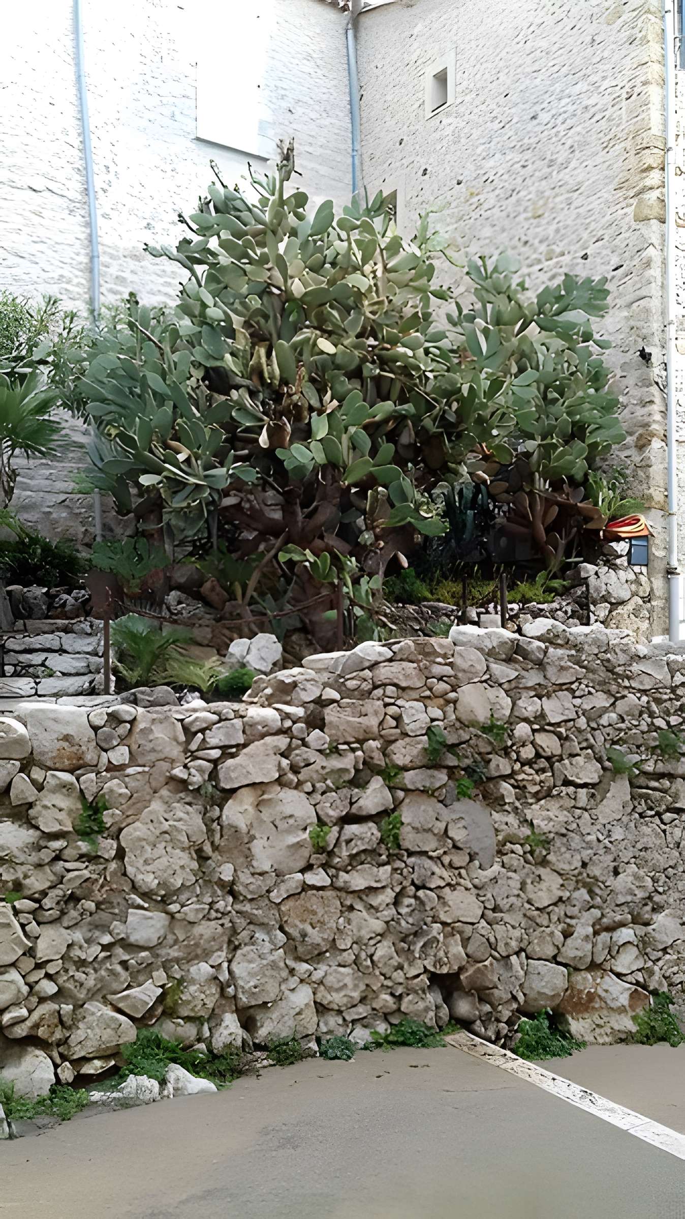 Enceinte gréco-romaine d'Antibes