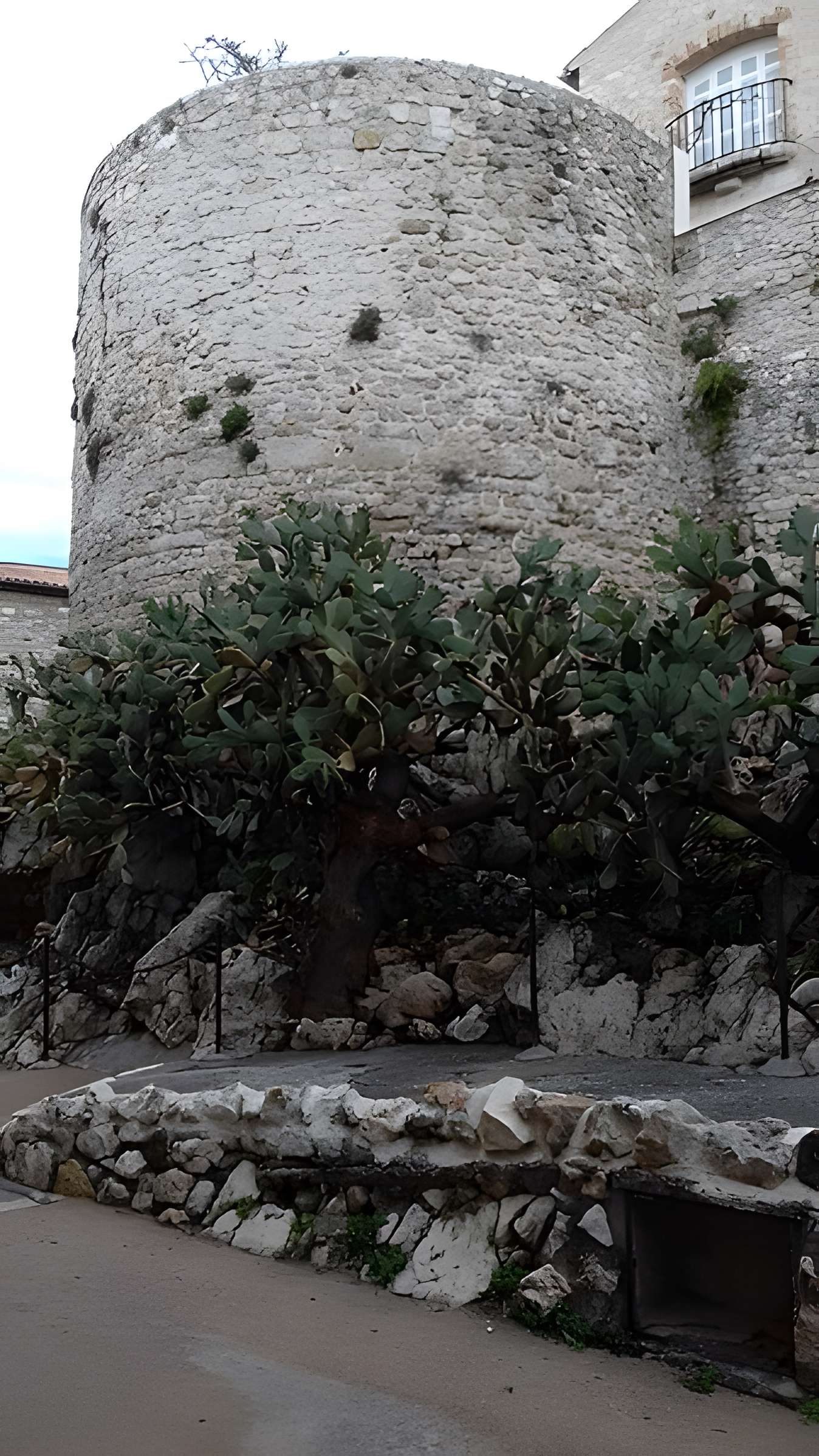 Enceinte gréco-romaine d'Antibes