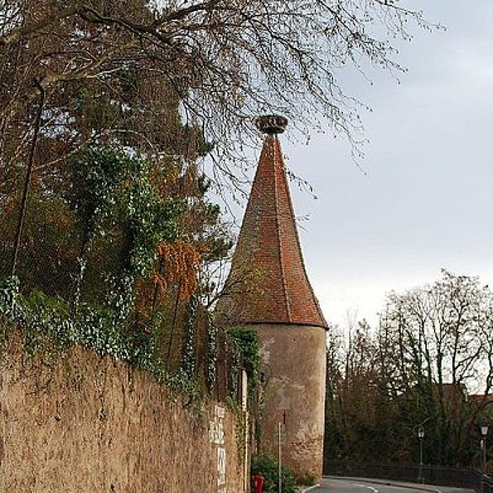 Photo de Enceintes de Ribeauvillé