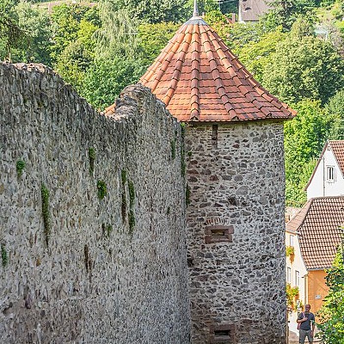 Photo de Enceintes de Ribeauvillé