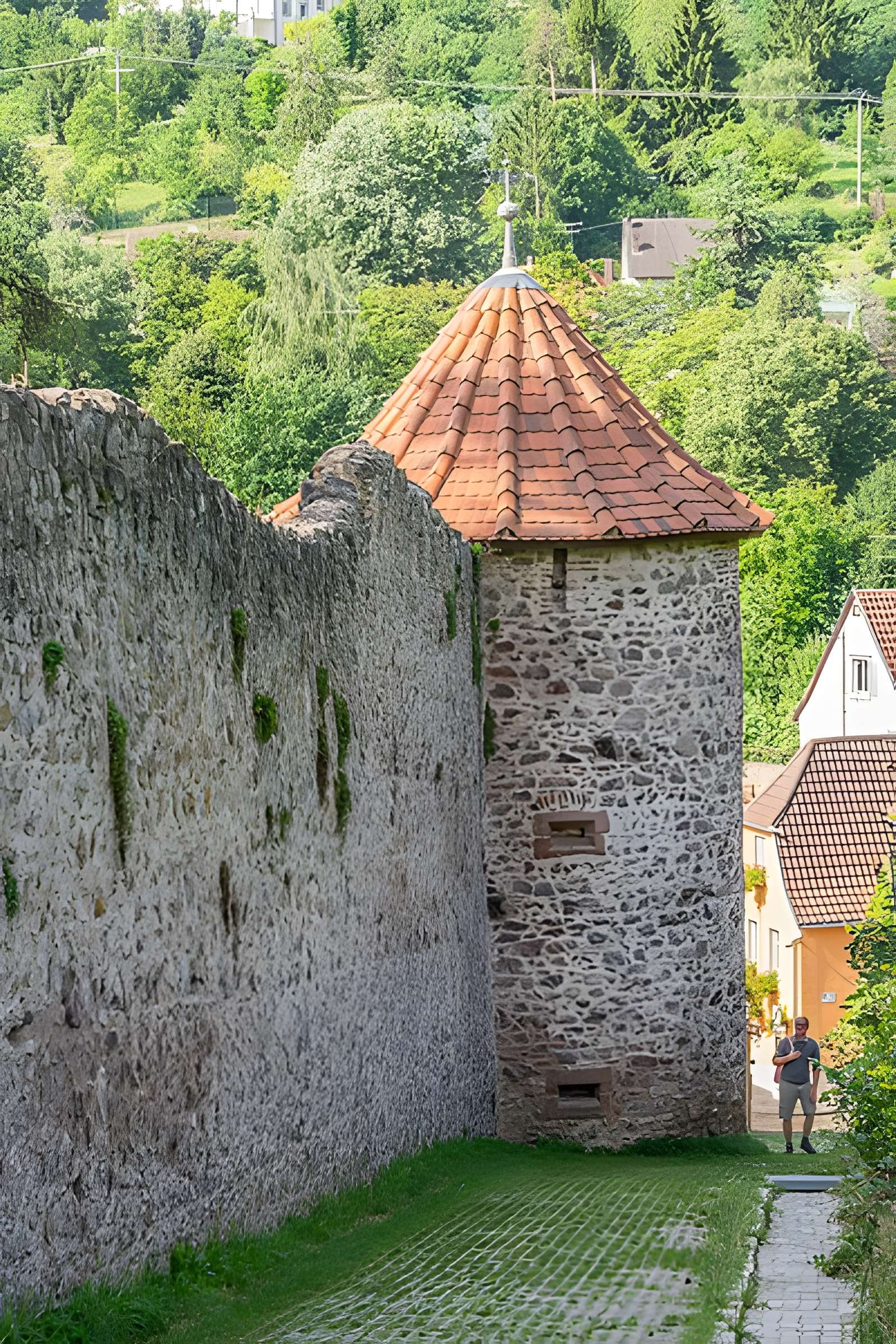 Enceintes de Ribeauvillé