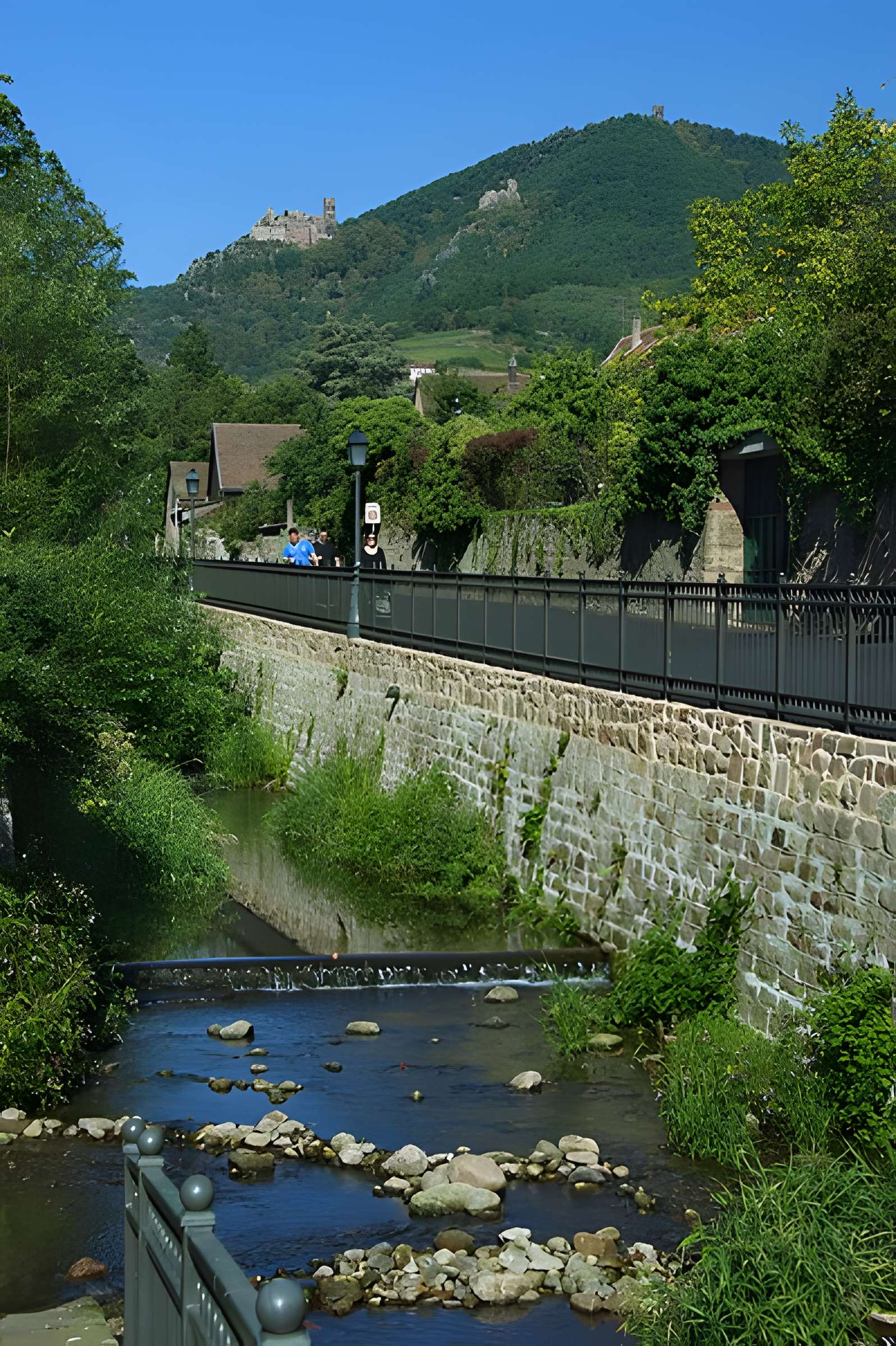 Enceintes de Ribeauvillé