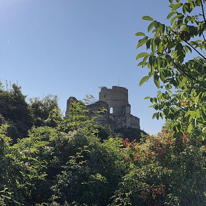 Photo de Ensemble castral de Château-sur-Epte