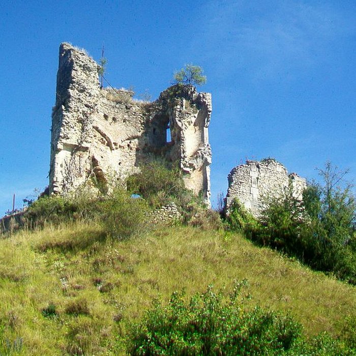 Photo de Ensemble castral de Château-sur-Epte