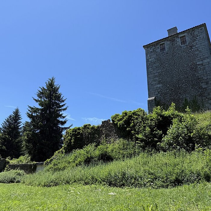 Photo de Château fort de la Roue