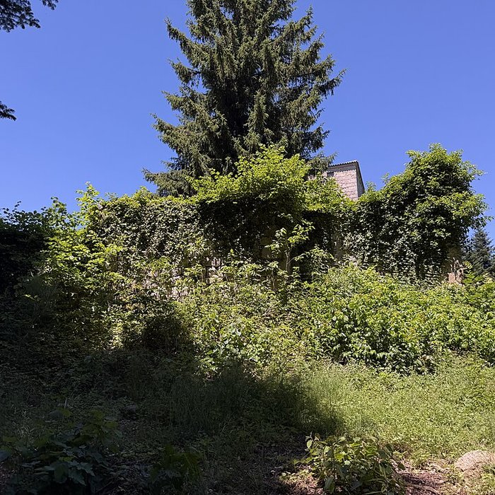 Photo de Château fort de la Roue