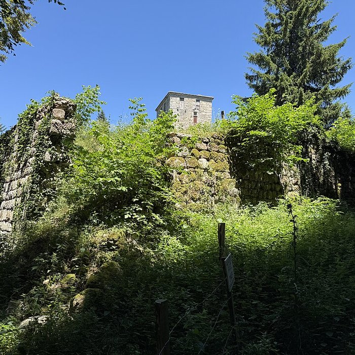 Photo de Château fort de la Roue