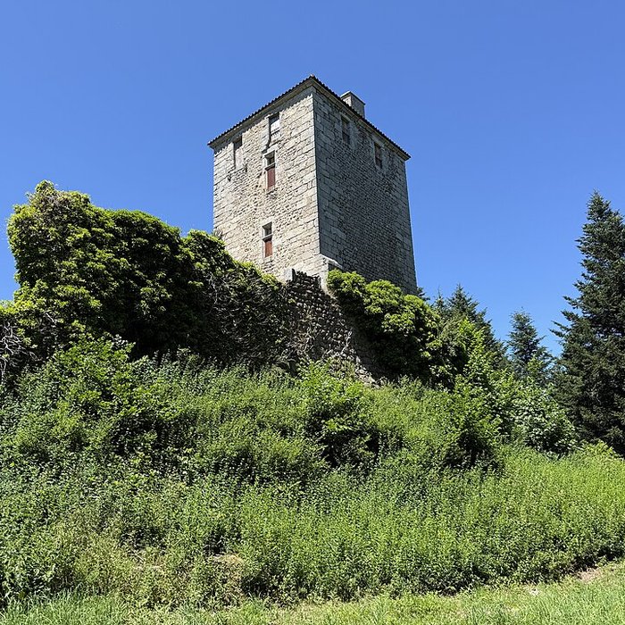 Photo de Château fort de la Roue