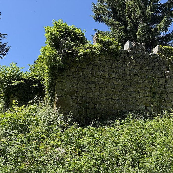 Photo de Château fort de la Roue