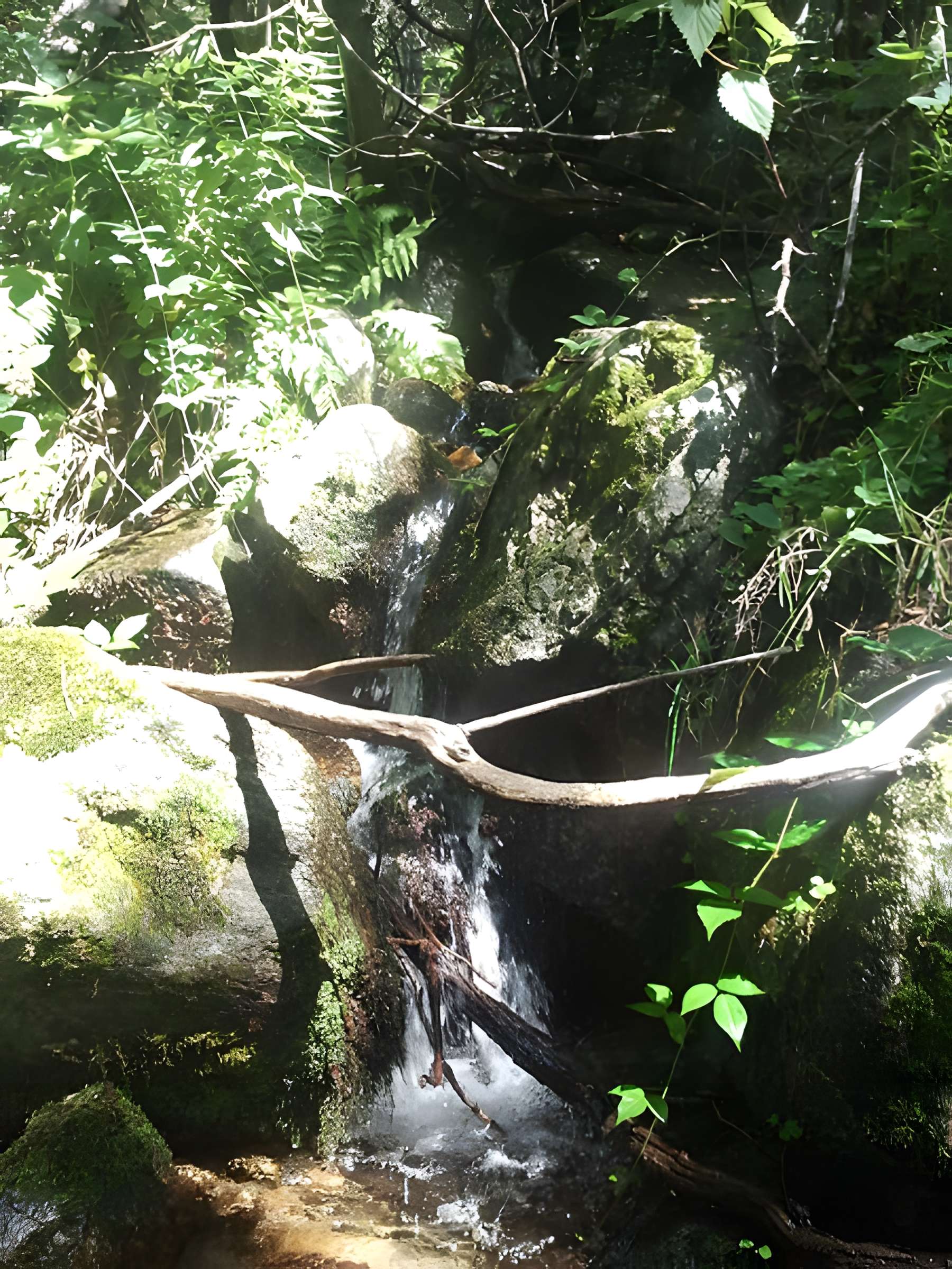 Ermitage Saint-Guillem de Combret