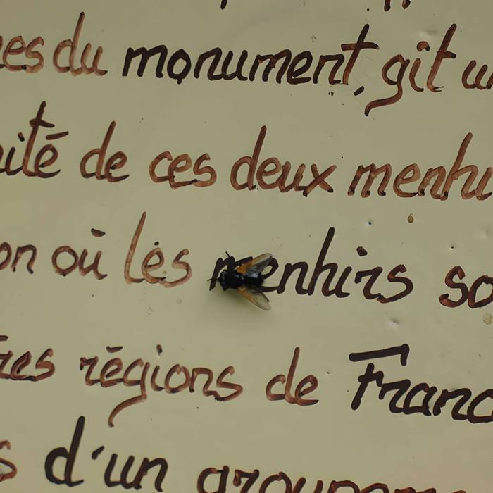 Photo de 两块巨石