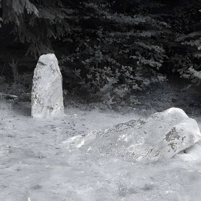 Photo de 两块巨石