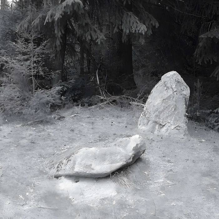 Photo de 两块巨石