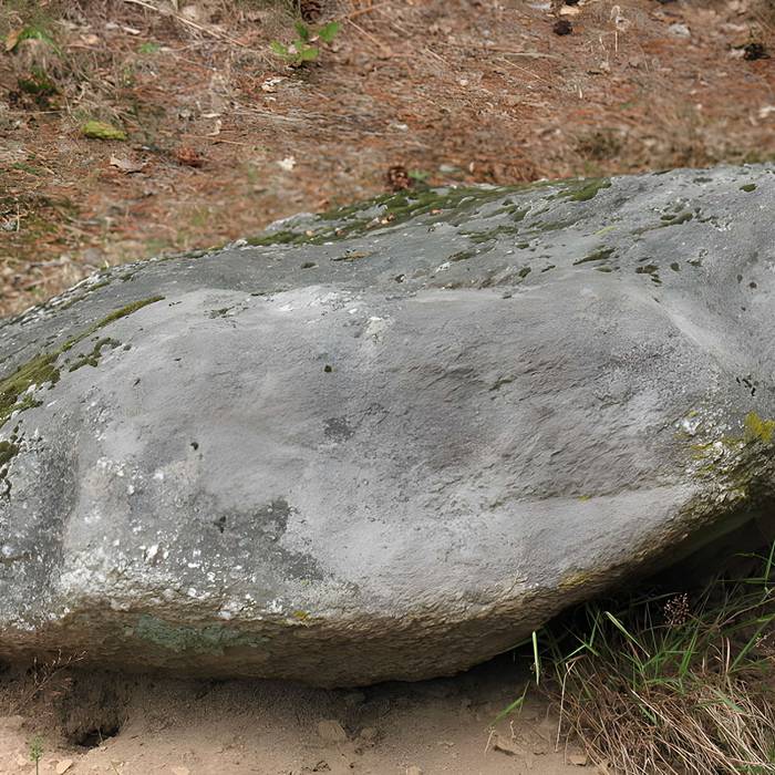 Photo de 两块巨石