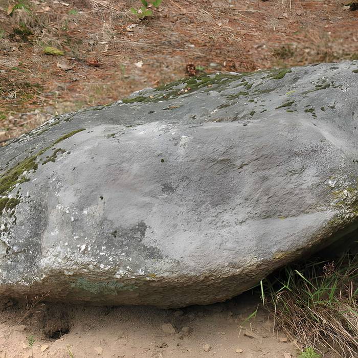 Photo de 两块巨石