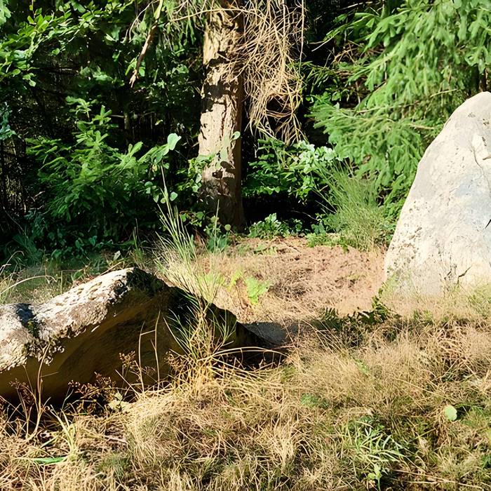 Photo de 两块巨石