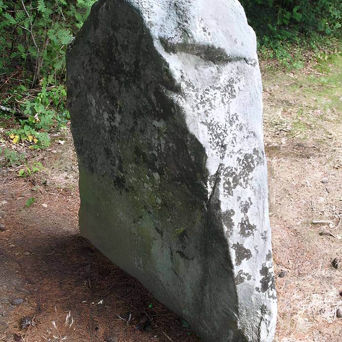 Photo de 两块巨石