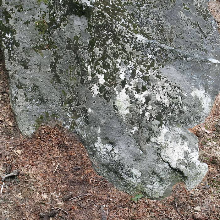 Photo de 两块巨石