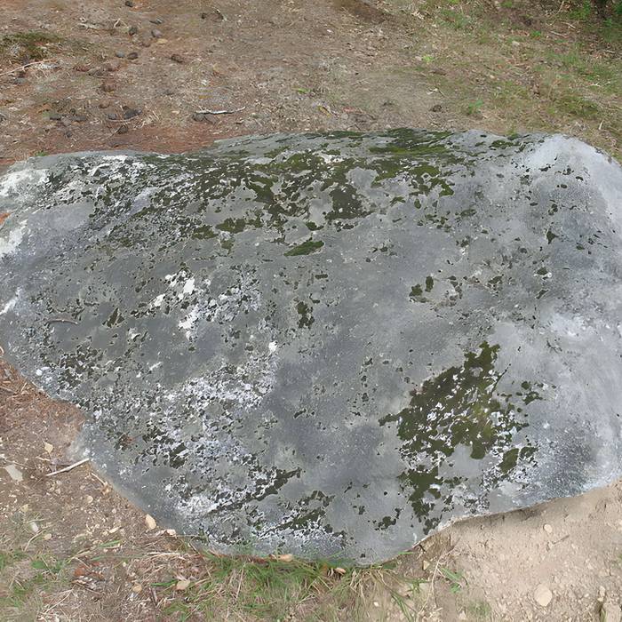 Photo de 两块巨石