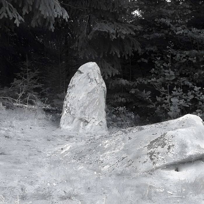 Photo de 两块巨石