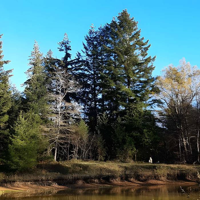 Photo de 两块巨石