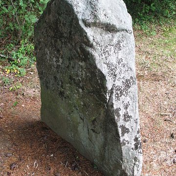 Deux mégalithes