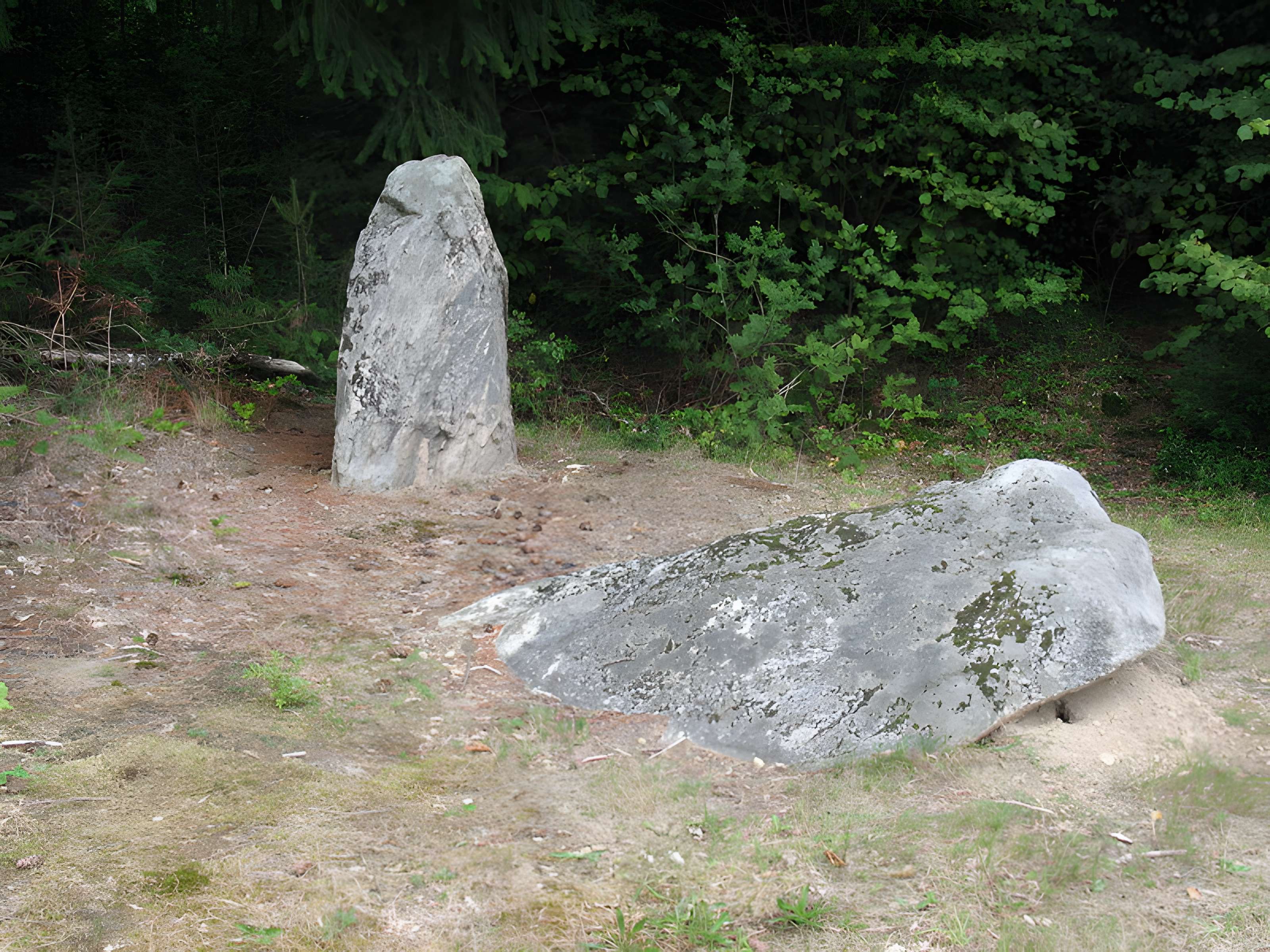 Deux mégalithes