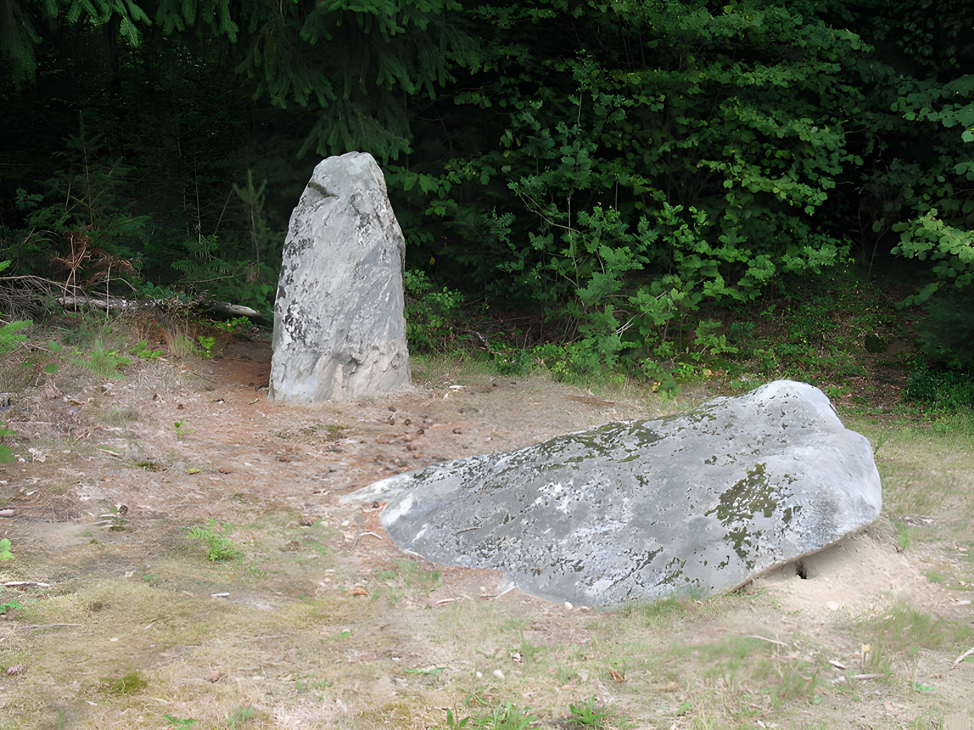 Deux mégalithes