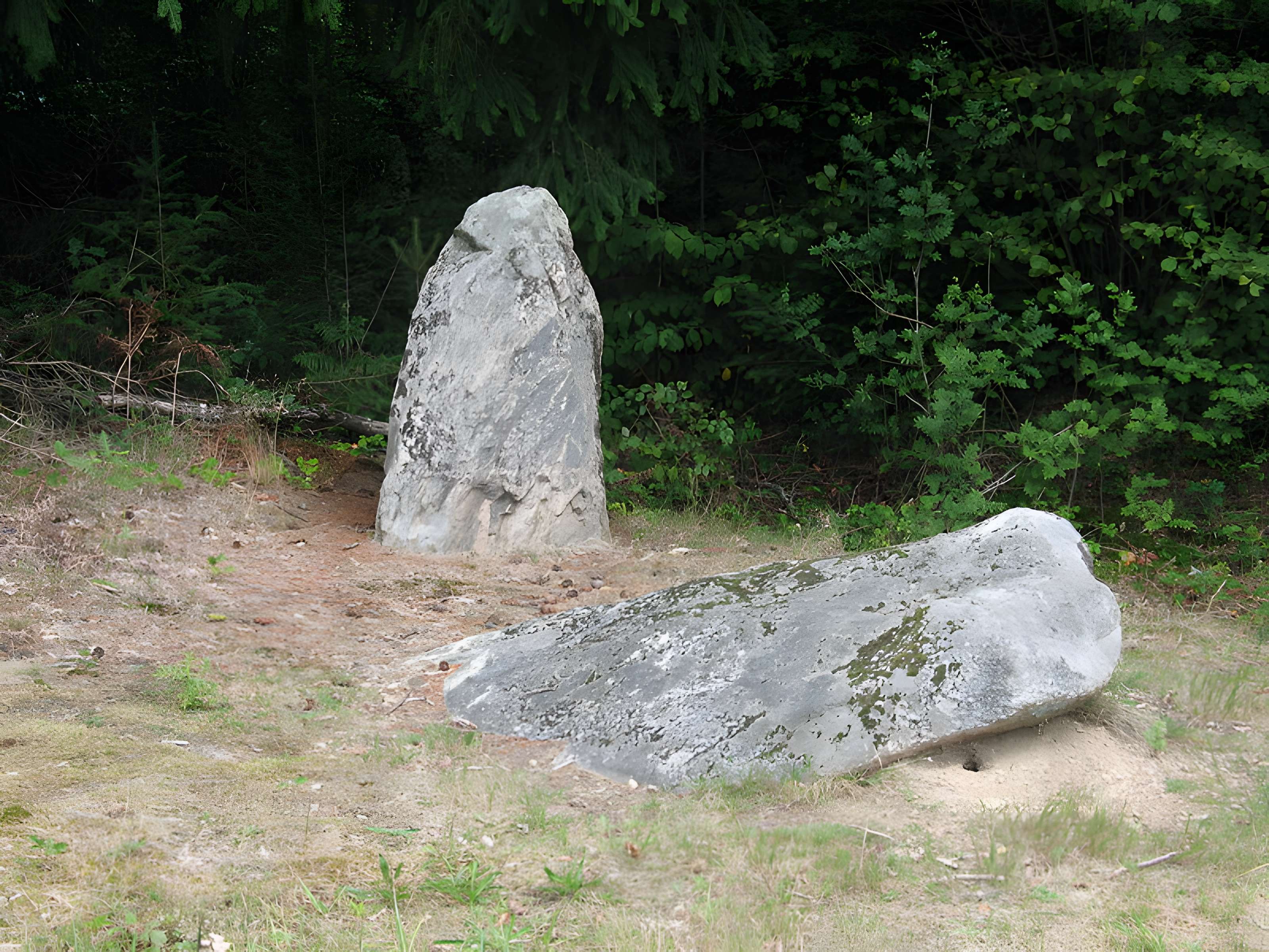 Deux mégalithes