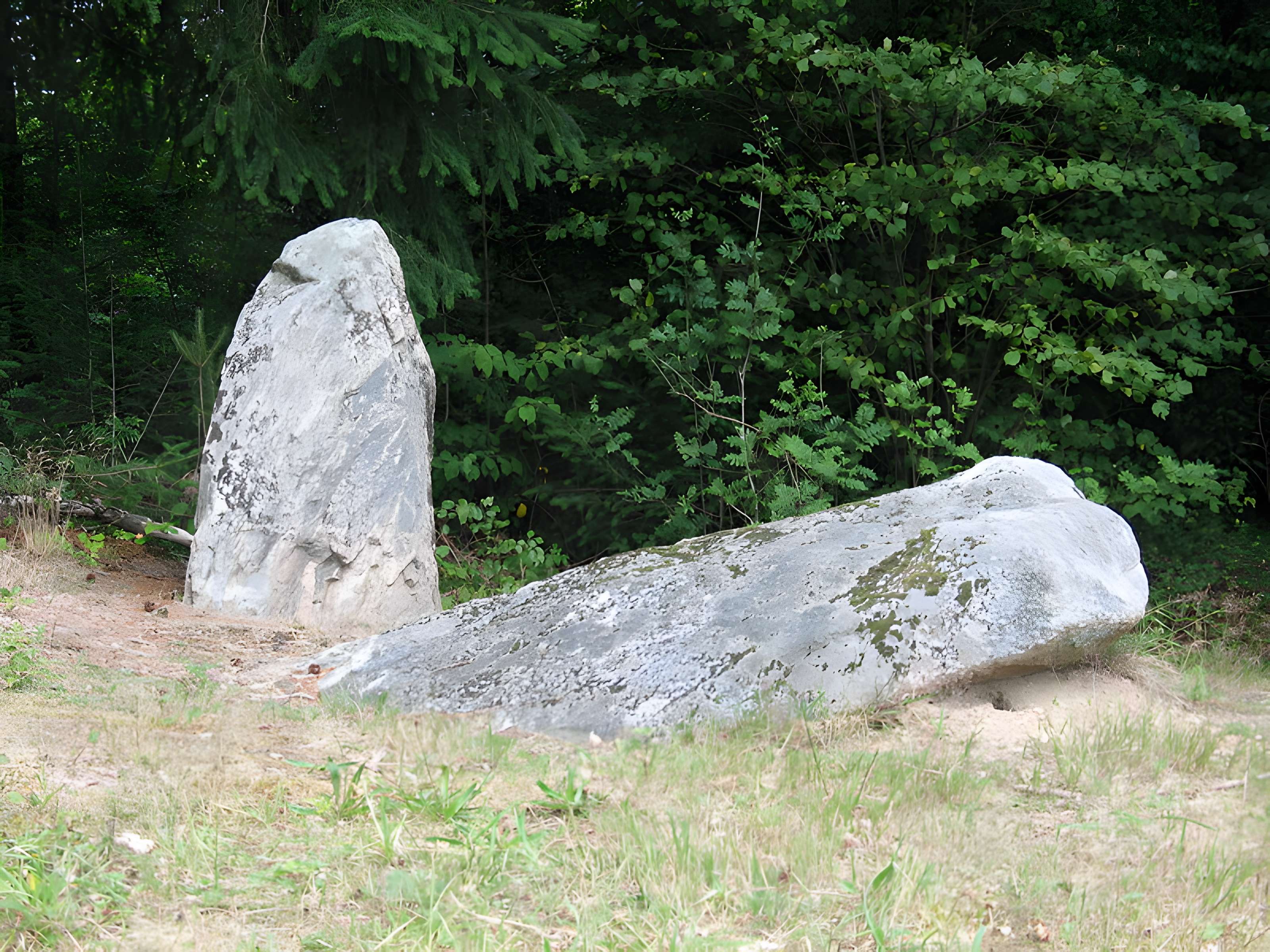Deux mégalithes