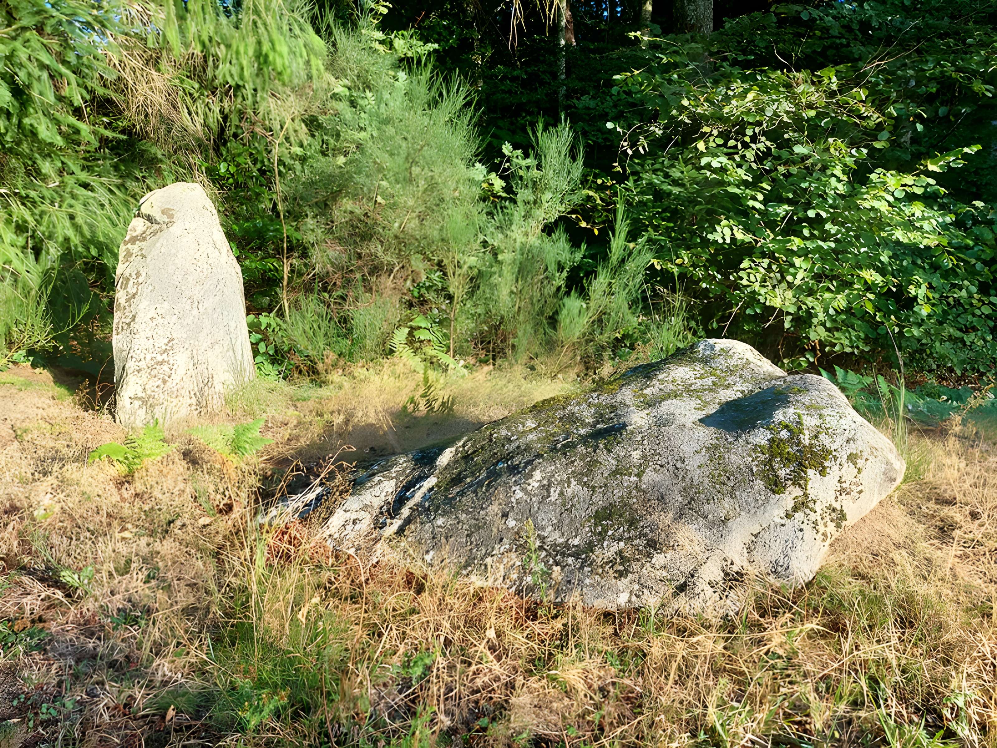 Deux mégalithes
