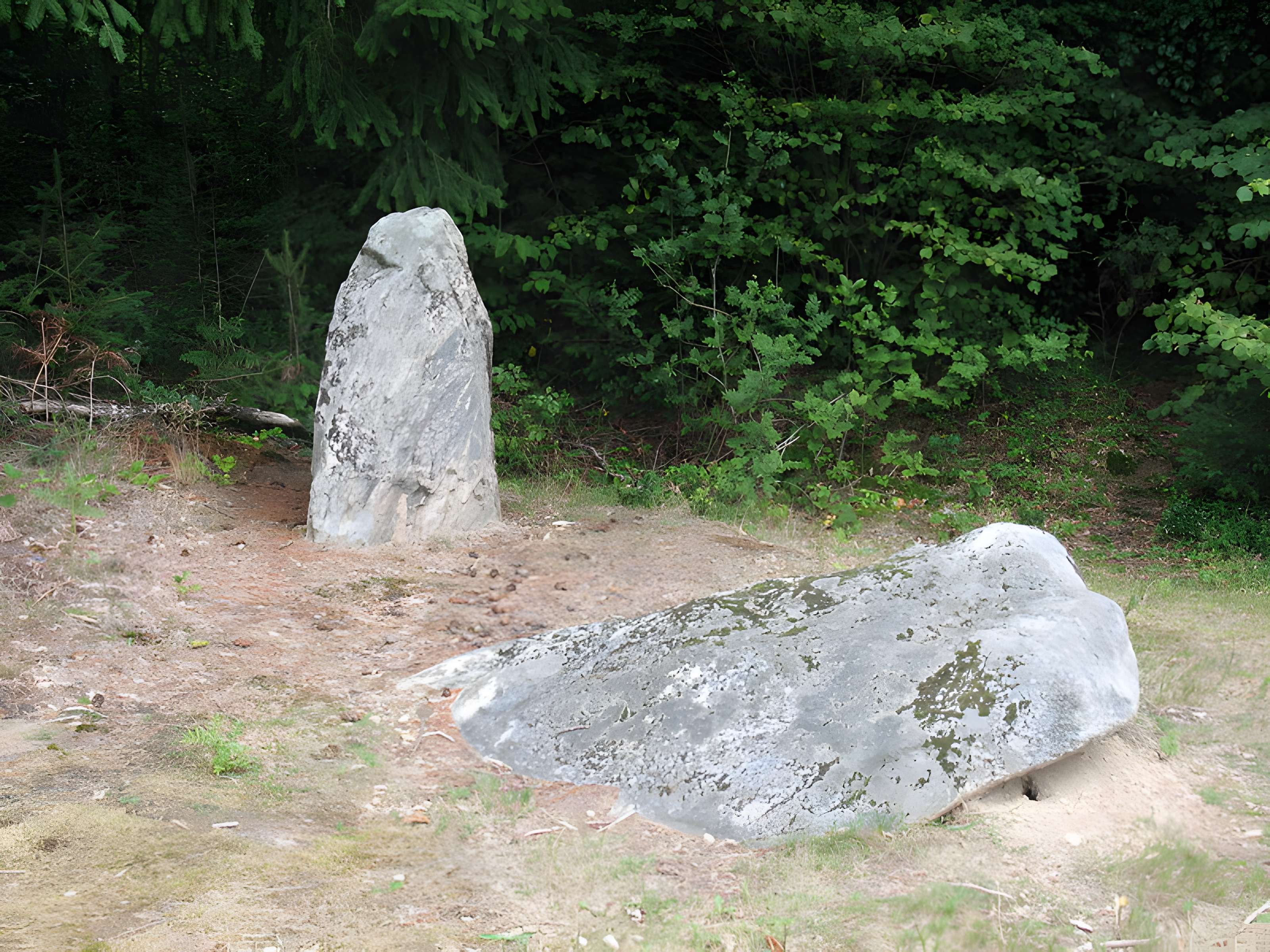 Deux mégalithes