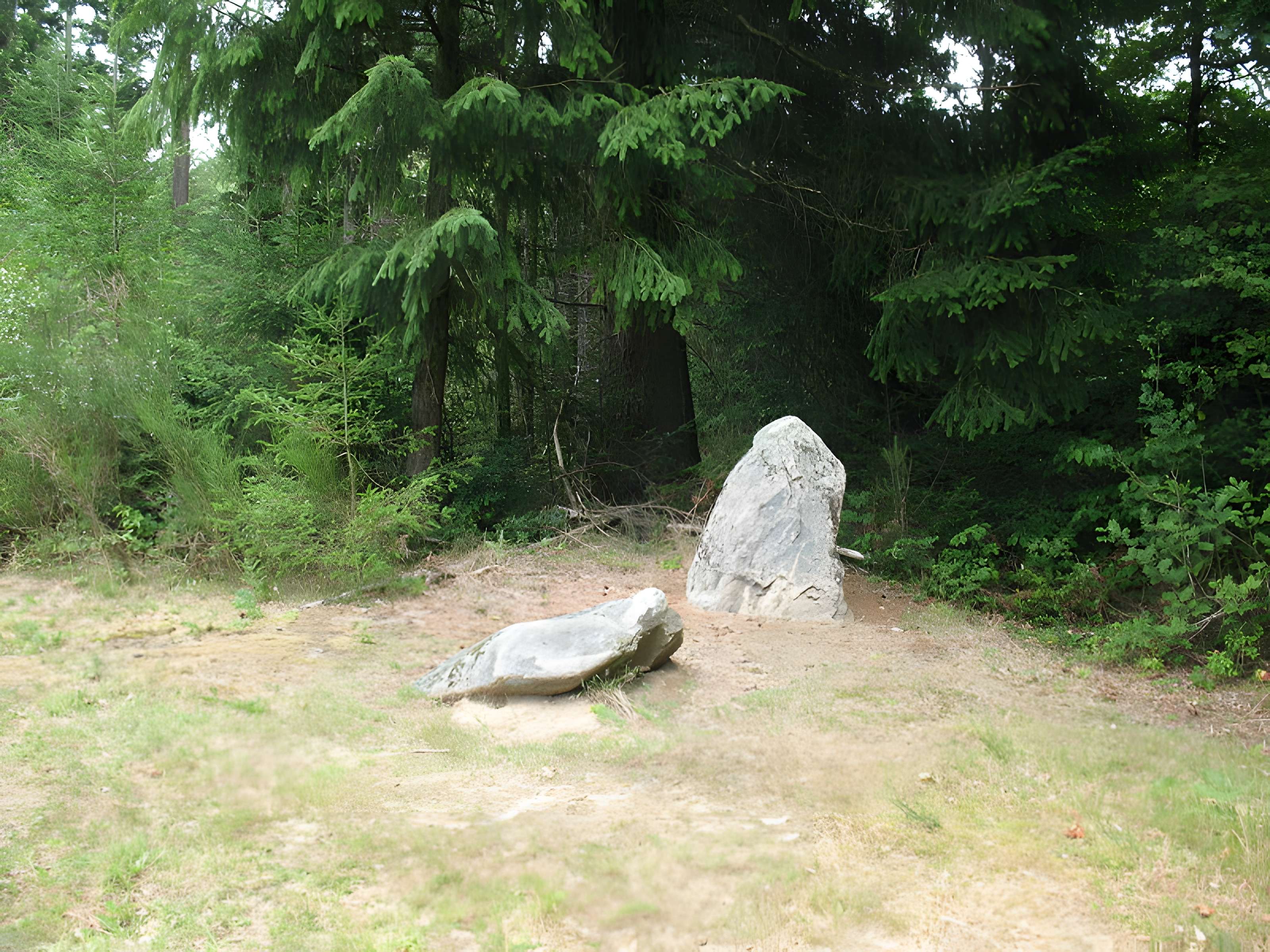 Deux mégalithes