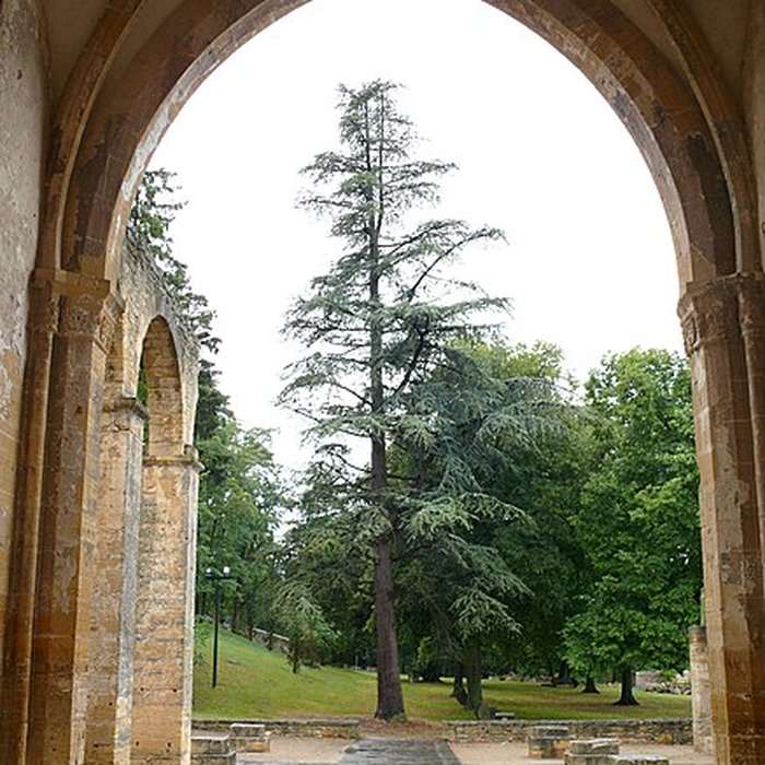 Photo de Ancienne église Notre-Dame