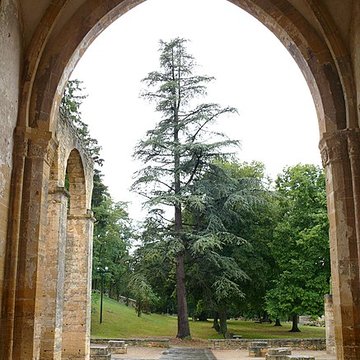 Ancienne église Notre-Dame