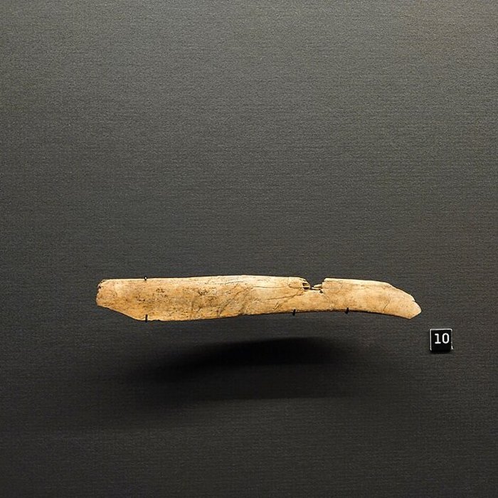 Photo de Grotte de Bourrouilla