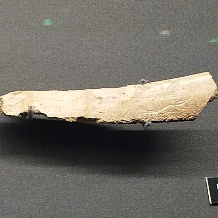 Photo de Grotte de Bourrouilla